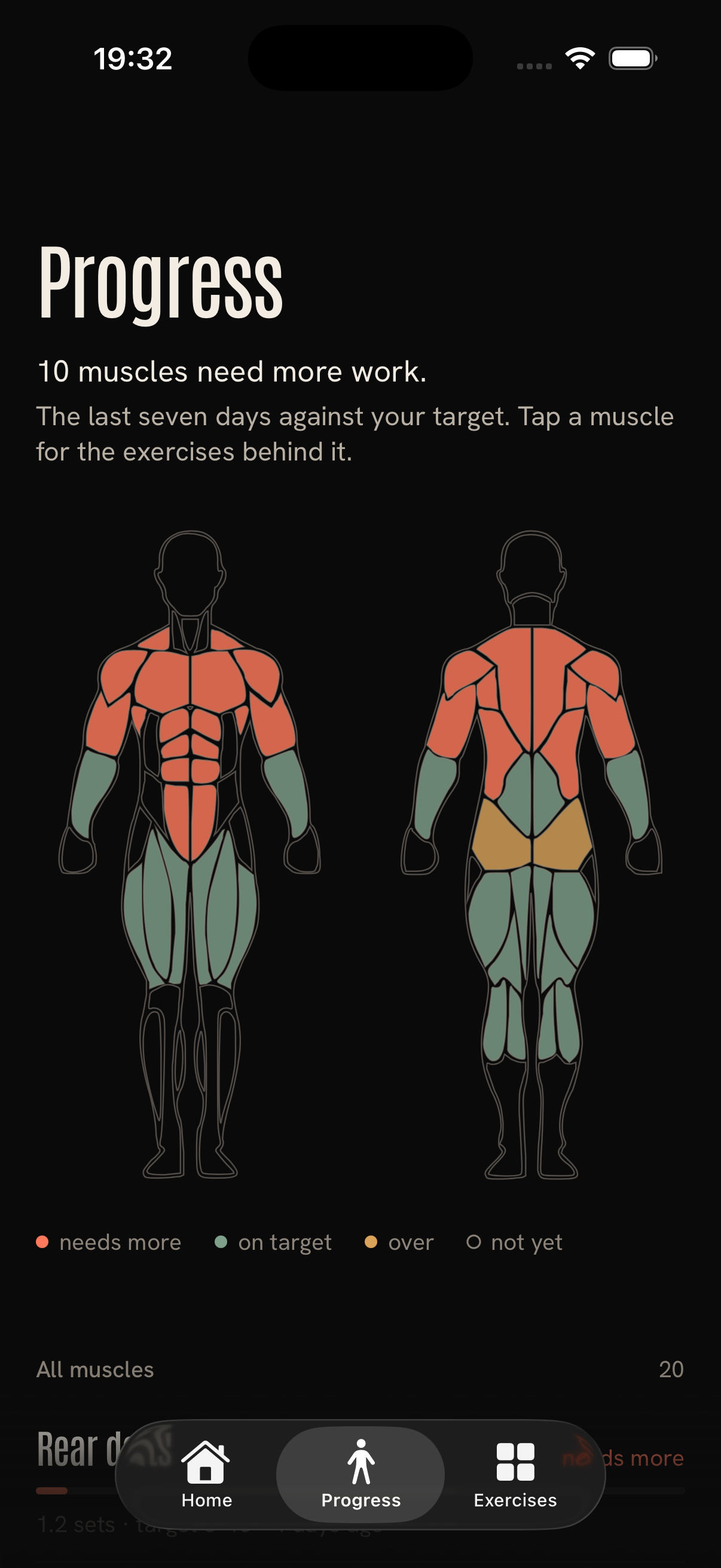 Setz weekly muscle map showing training coverage and lagging muscle groups